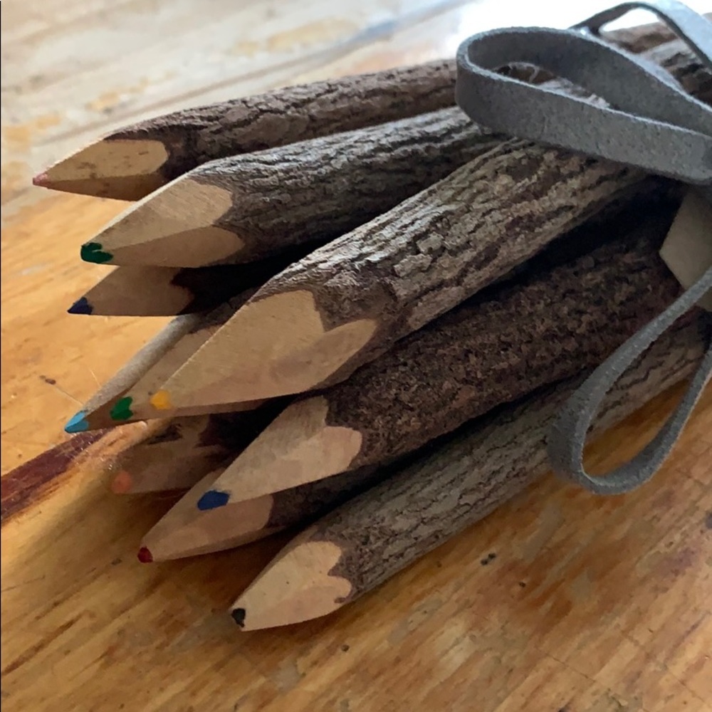 🌲 Bundle of Branch Pencils 🌲